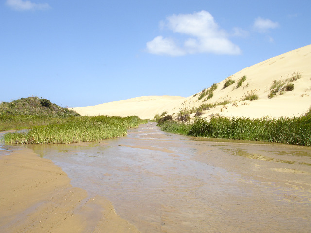 Sanddünen