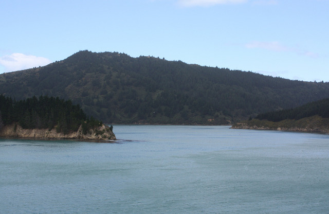 In den Marlborough Sounds