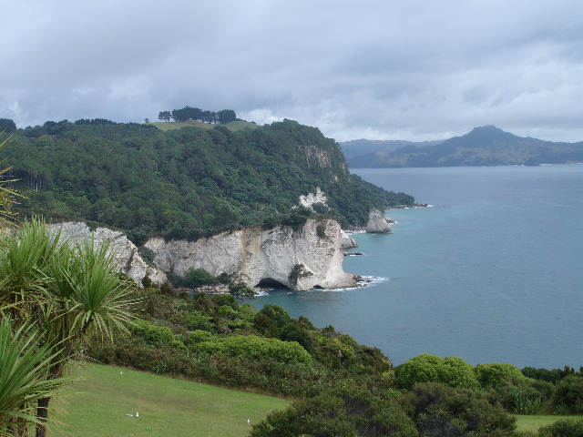 Ostküste der Coromandel Halbinsel