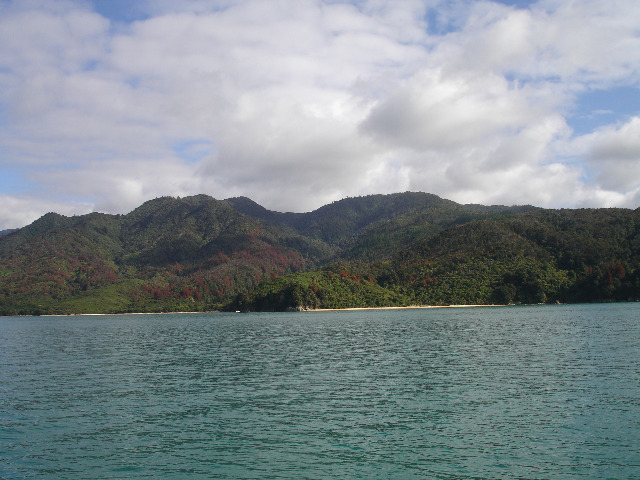 Küste des Abel Tasman National Park