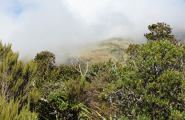 Mt. Taranaki ist häufig in den Wolken
