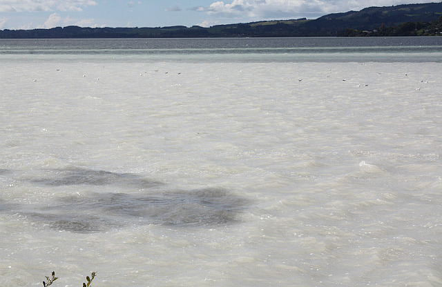 Rotorua, Sulphur Bay