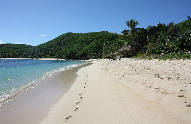 Strand des Octopus