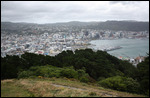 Wellington