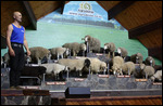Agrodome