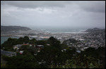 Flughafen von Wellington