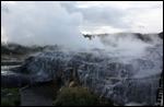 Te Puia Park