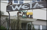 Eingang zur Weta Cave