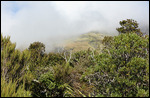 Mt. Taranaki ist häufig in den Wolken