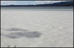 Rotorua, Sulphur Bay