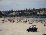 Bondi Beach