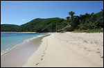 Strand des Octopus